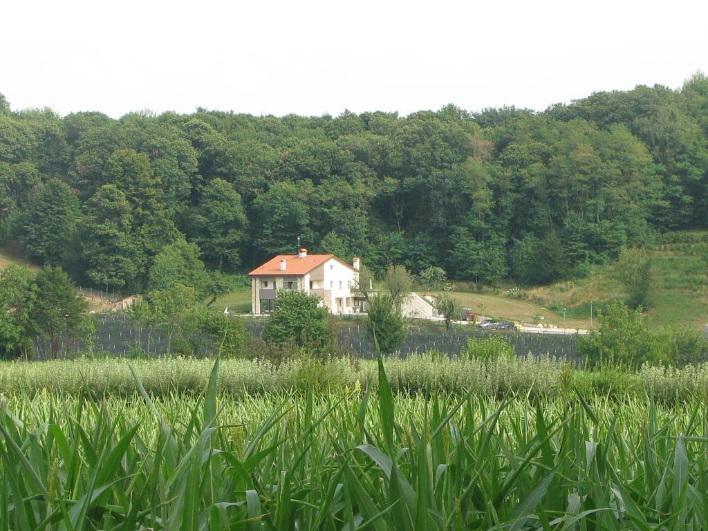 Agriturismo Casamela Paderno del Grappa Екстер'єр фото