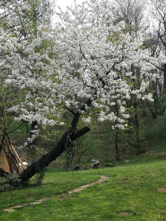 Agriturismo Casamela Paderno del Grappa Екстер'єр фото